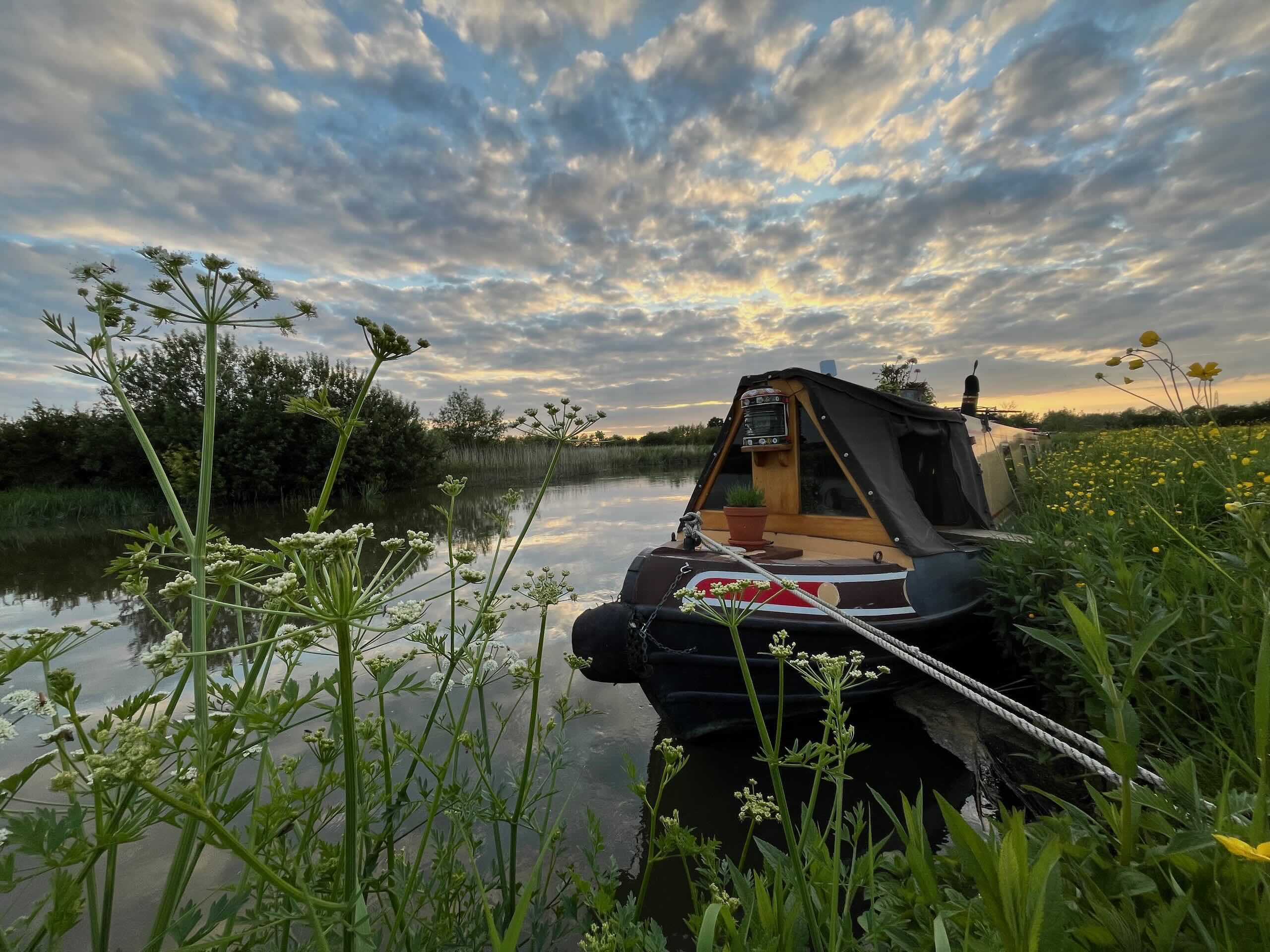Narrowboat moored beside a river and wetland habitat at sunset