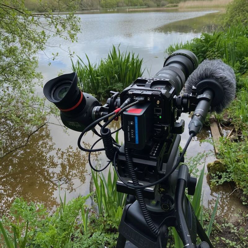 Professional cinema camera filming a river and wetland conservation project